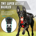 Glide - Adjustable Dog Harness and Leash Set