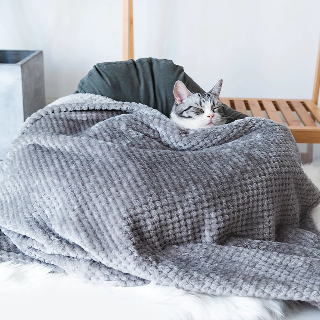Soft Plush Pet Blanket