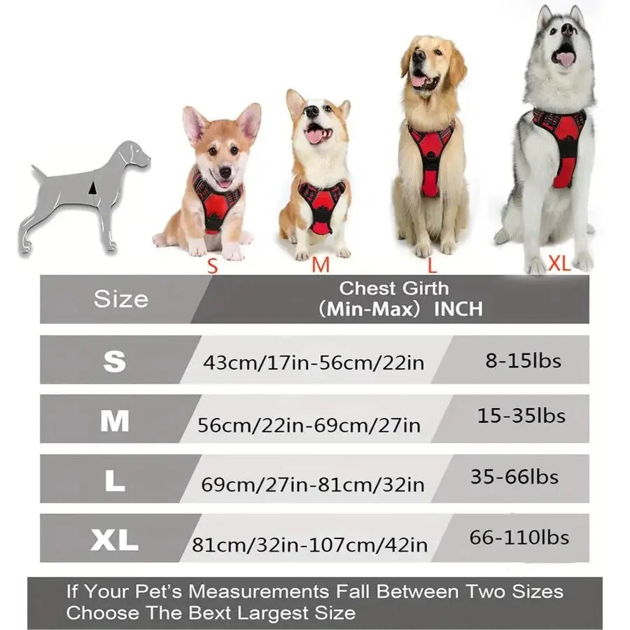 Glide - Adjustable Dog Harness and Leash Set