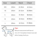 Mini - Small Dog and Cat Harness Leash Set