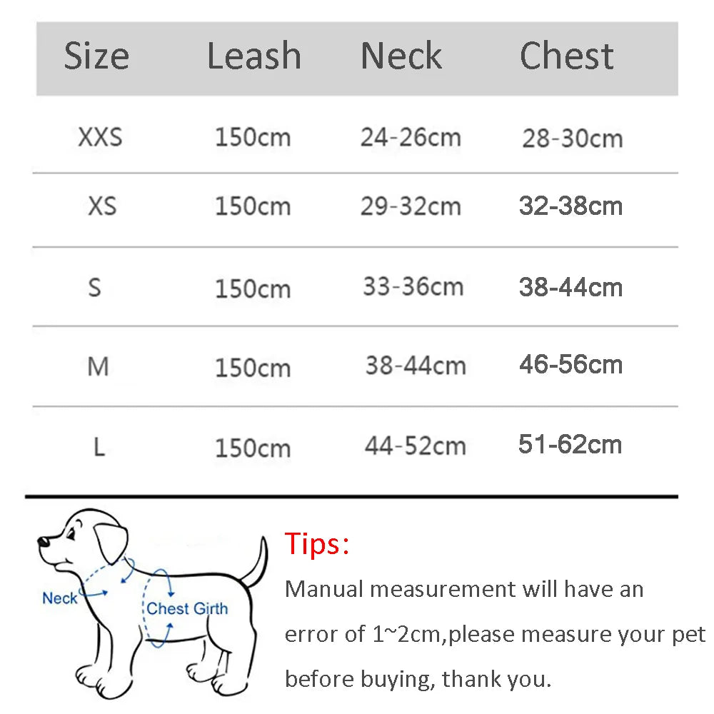 Mini - Small Dog and Cat Harness Leash Set