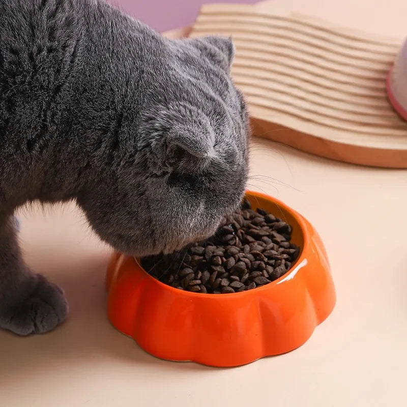 Fruit Design Ceramic Cat Bowl