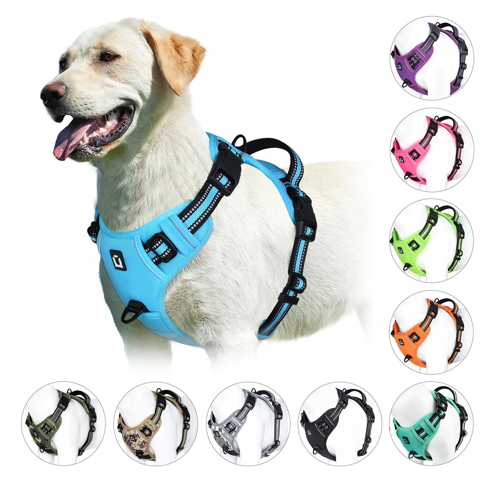 Quest - Padded No-Pull Dog Harness with Handle