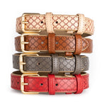 Ranger - Personalised Padded Leather ID Dog Collar