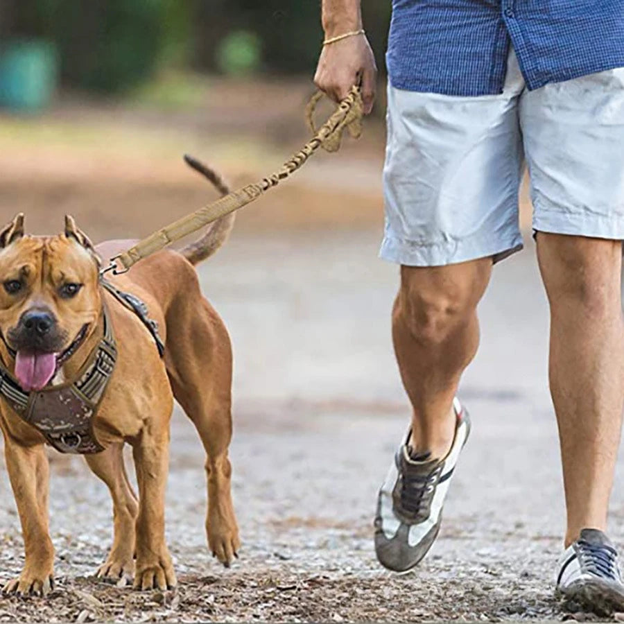 Reflective Bungee Dog Leash