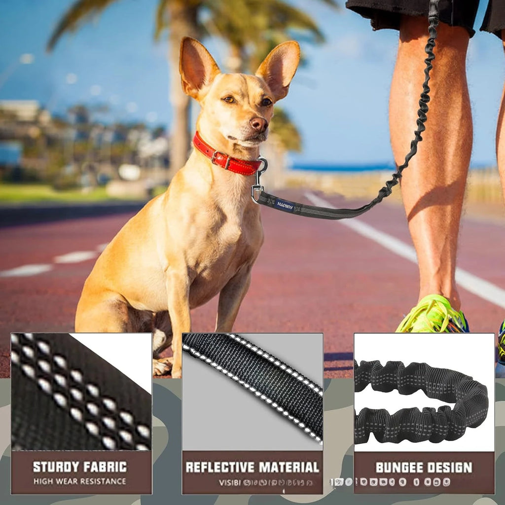 Reflective Bungee Dog Leash