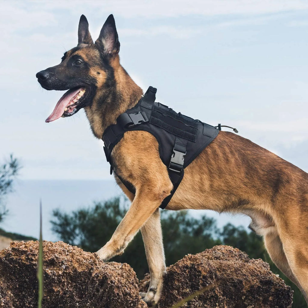 Trek - Tactical No-Pull Dog Harness