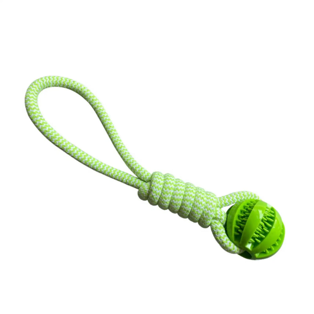 Treat-Dispensing Dog Toy Ball