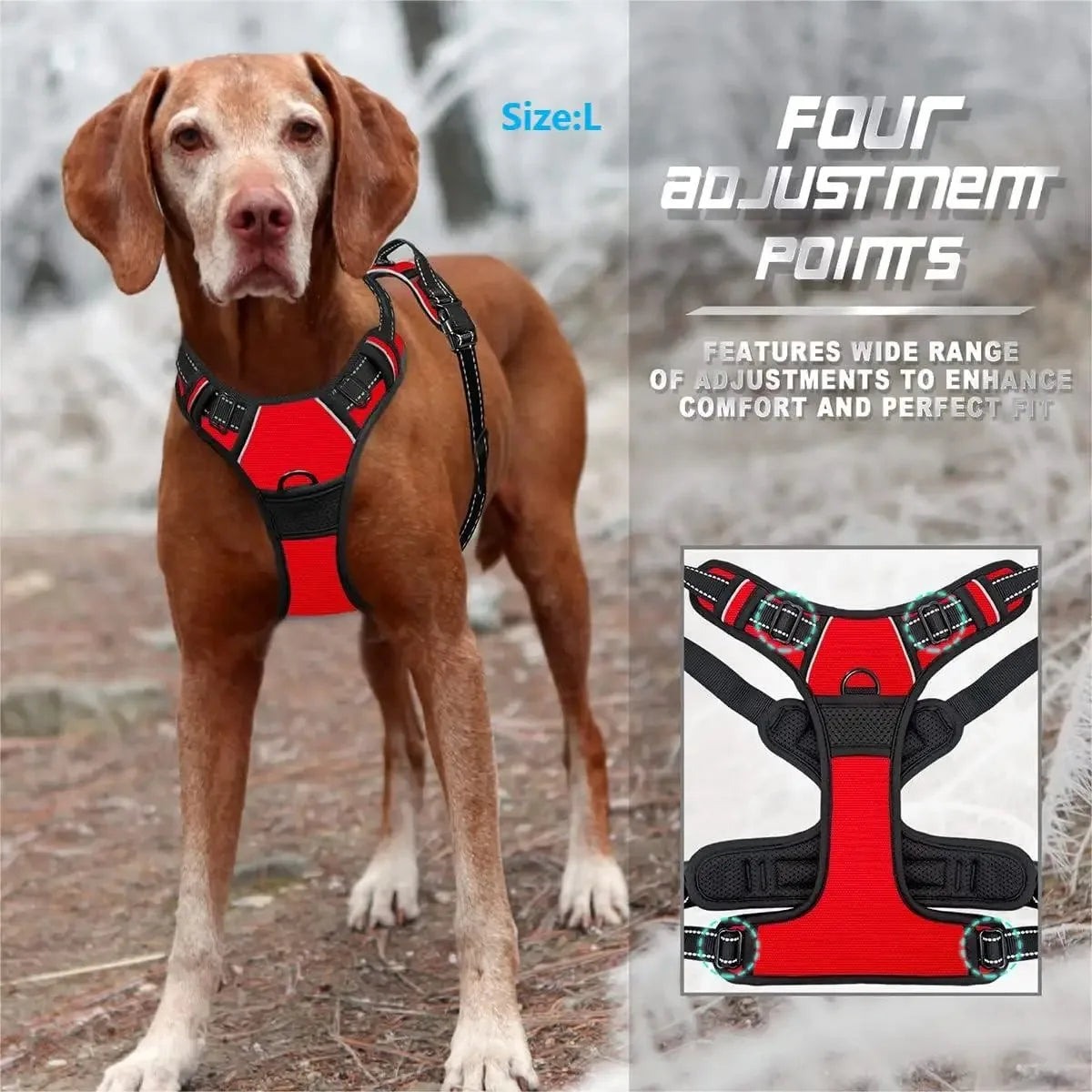 Glide - Adjustable Dog Harness and Leash Set