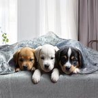 Ultra-Soft Paw Print Pet Blanket