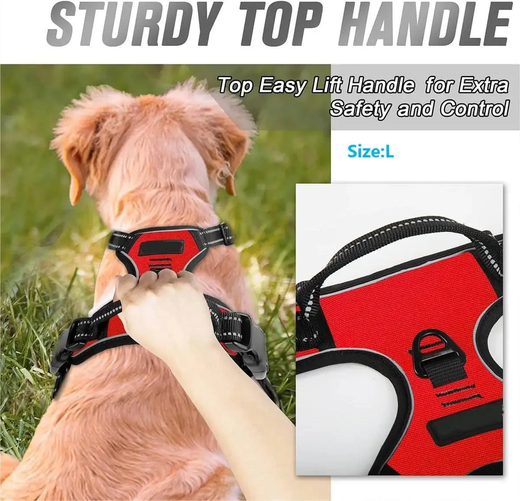 Glide - Adjustable Dog Harness and Leash Set