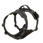 Glide - Adjustable Dog Harness and Leash Set