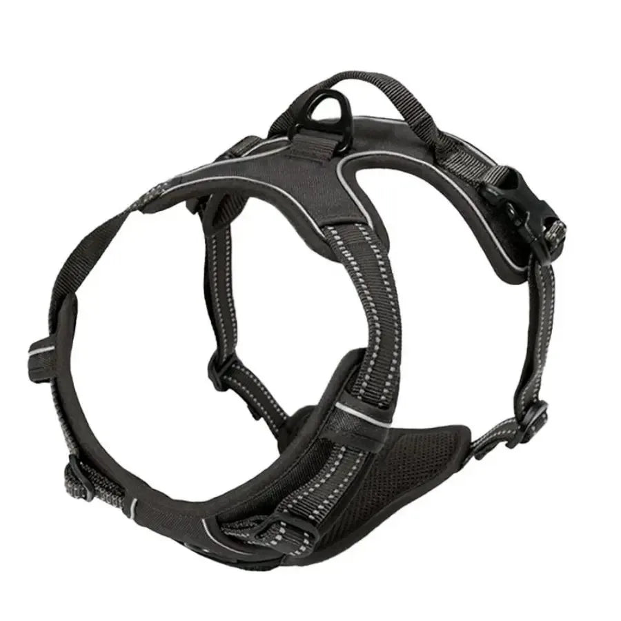 Glide - Adjustable Dog Harness and Leash Set