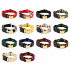 Dash engraved buckle dog collar colour lineup