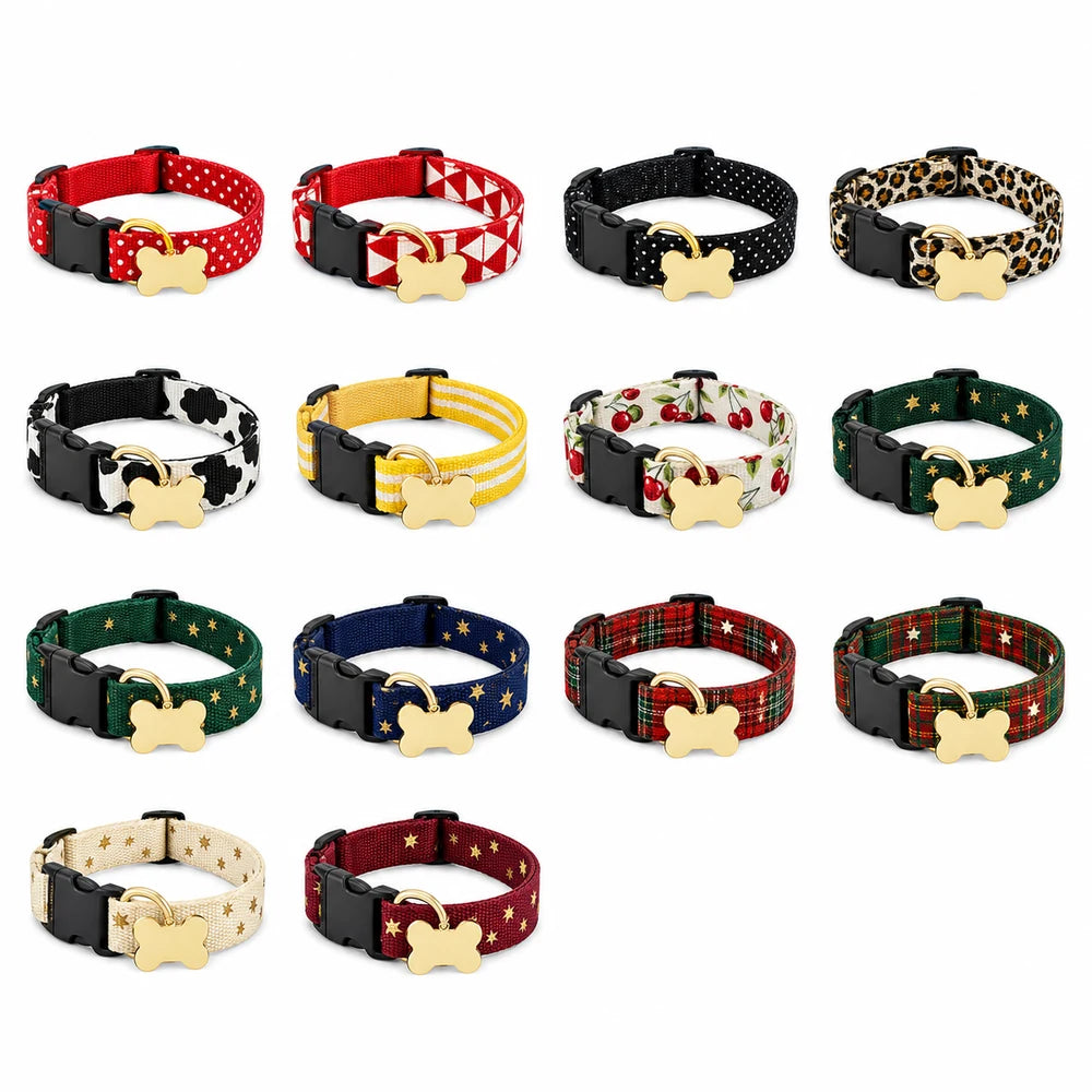 Dash engraved buckle dog collar colour lineup