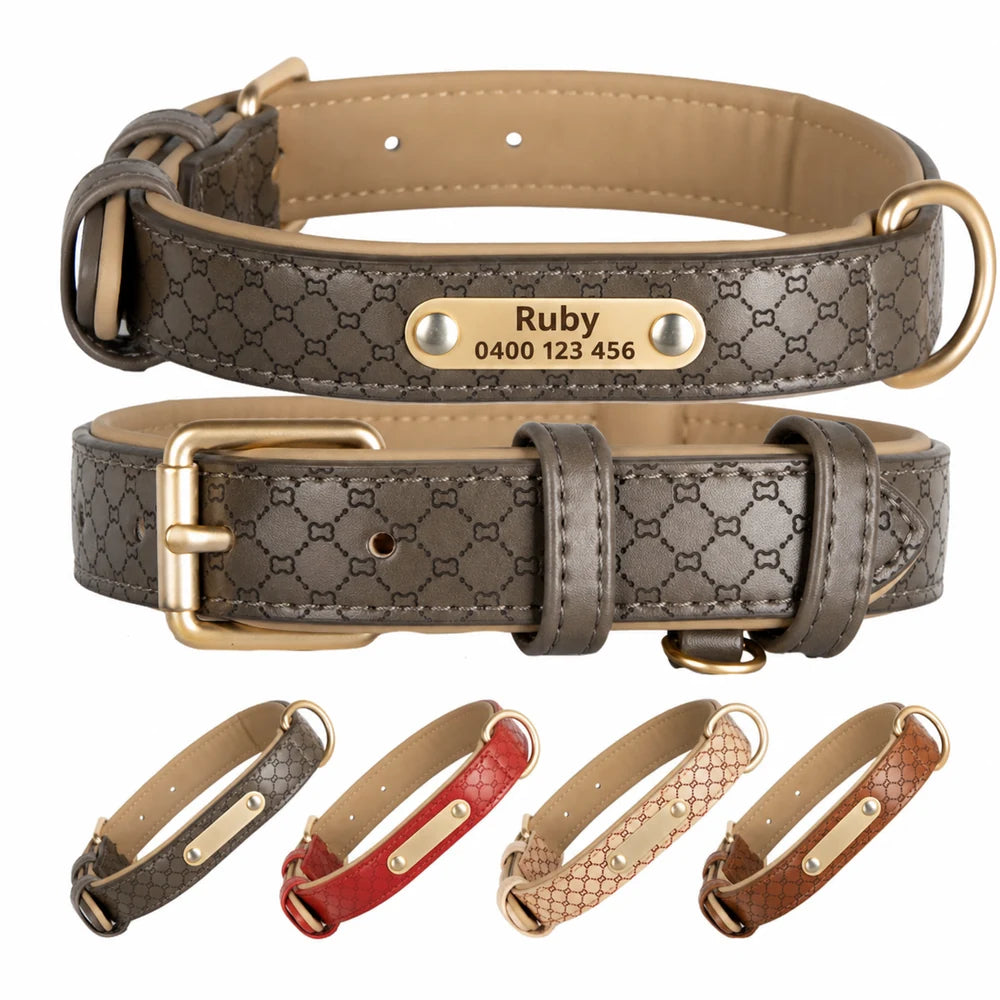 Ranger padded leather ID dog collar with Ruby nameplate