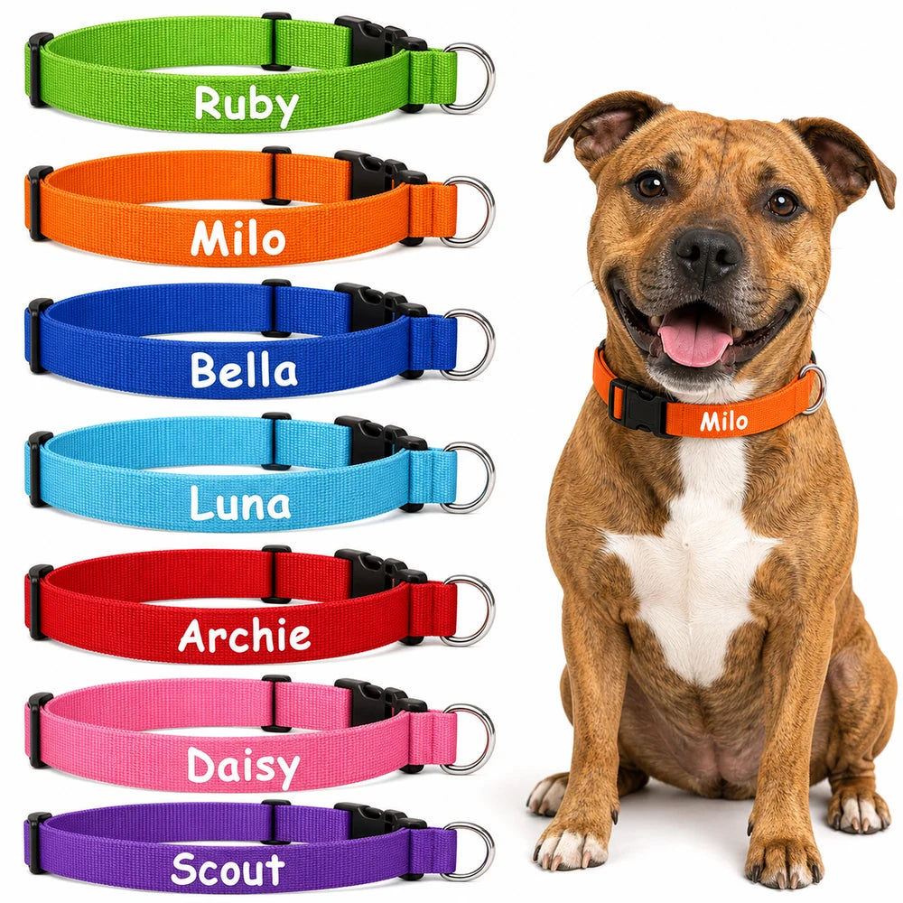 Stride personalised nylon ID dog collar colour lineup with custom names